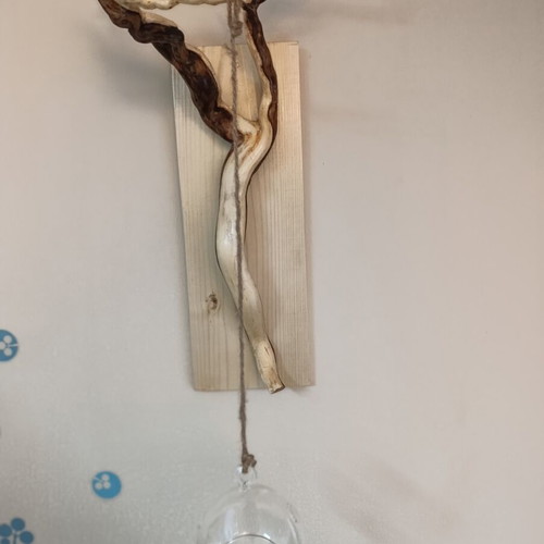 Handcrafted Wall-Mounted Forest Root Plant Hanger new