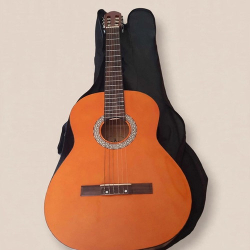 Jose Arenas C-10 classical guitar 4/4 size with soft Roadbag case
