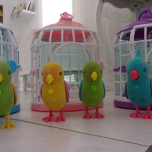 Little Live Pets 6 birds and cages
