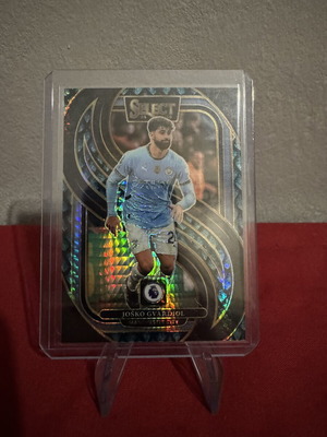 Panini Select 2024–25 Joško Gvardiol Mezzanine Winter Camo Prizm /49 Premier League card