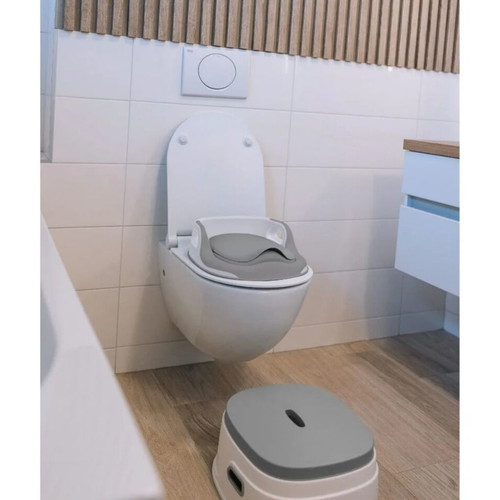 3-in-1 Potty New with Toilet Seat Adapter and Stool