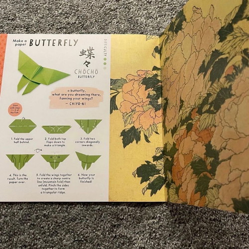 Origami, Poems and Pictures book new, English