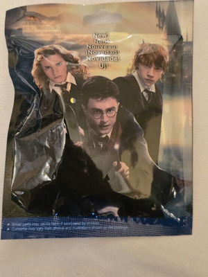 Harry Potter mystery bag