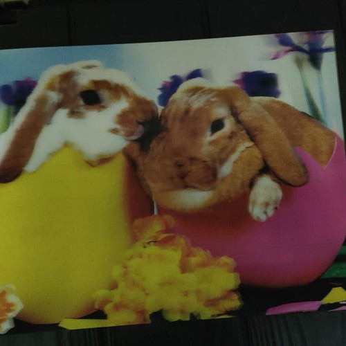 3D Picture With Bunnies In Eggs, Like New, 39x29 cm