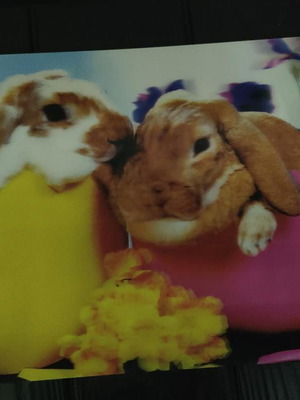 3D Picture With Bunnies In Eggs, Like New, 39x29 cm