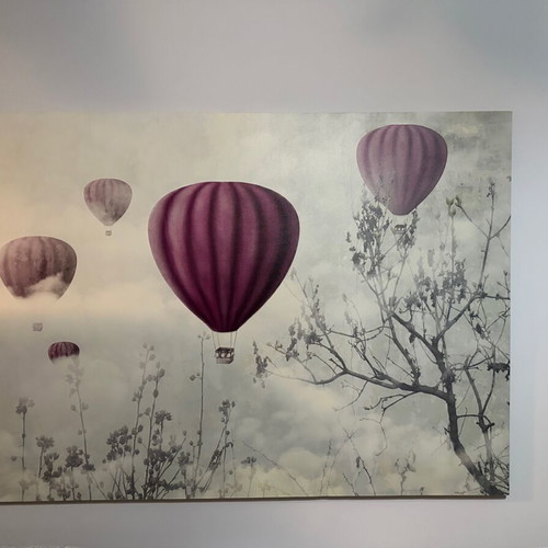 Hot Air Balloon Wall Art like new