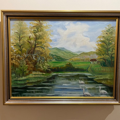 Artistic Landscape Lake and Nature like new