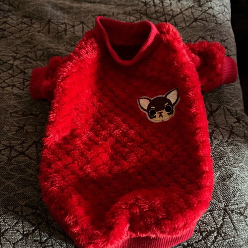 Small dog shirt like new for small dog