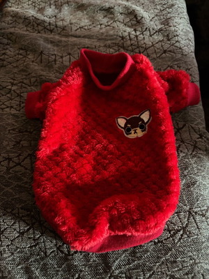 Small dog shirt like new for small dog