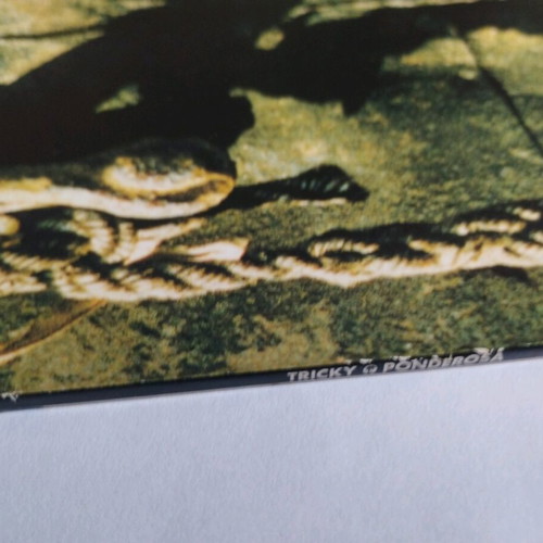 Tricky Ponderosa 12" single like new, electronic music