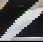  Άδειο κουτί PANDORA