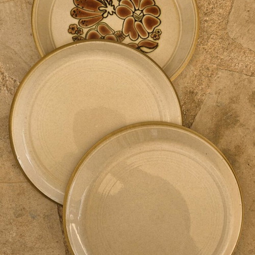 Festival Range Vintage Plates Rafflesia Design Like New
