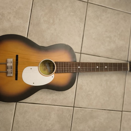 Hora acoustic guitar with soft case