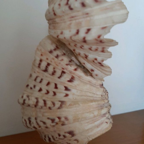 Decorative owl figurine made of large shells used