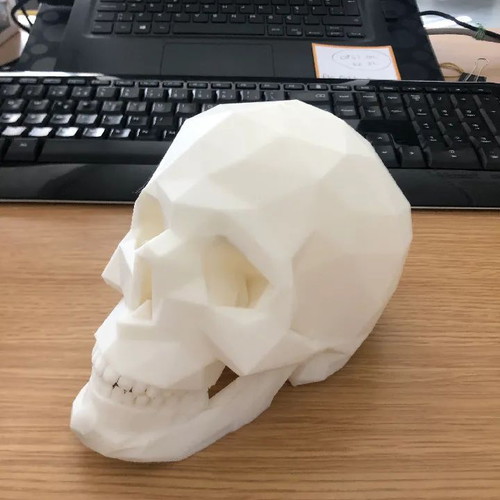 Desk decorative skull new in white, black, and gray