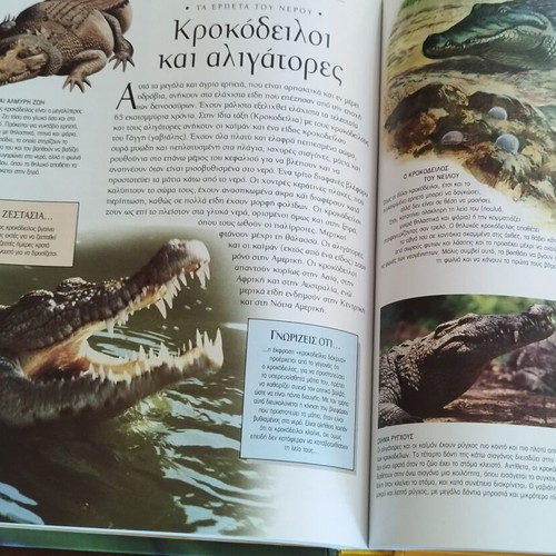 Zootiko Vasilio I, Family and Friends, I Proti Mou Egkyklopaideia children's books