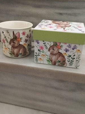 Porcelain mug rabbits set with box new
