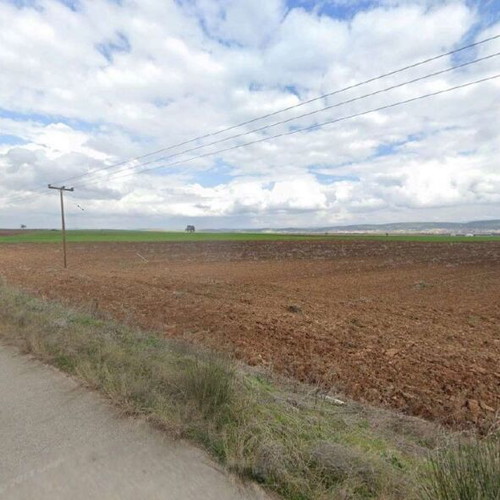Field of 22,270.37 square meters