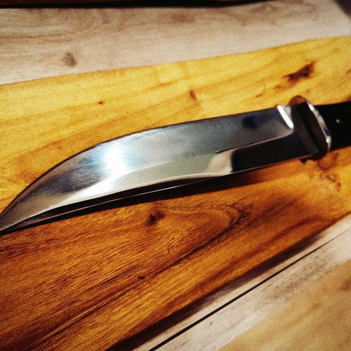 Collector's massive hunting knife new with buffalo horn handle