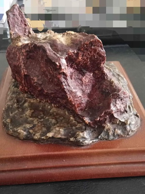 Κόκκινο ορυκτό πέτρωμα σε ξύλινη βάση