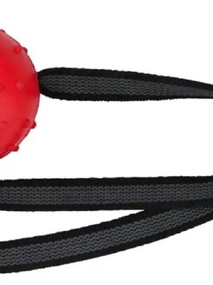 Trixie ball on rope rubber new, 6cm/31cm red