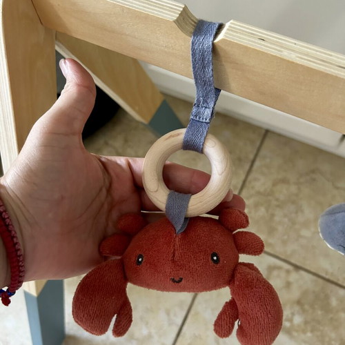 Little Dutch wooden baby gym like new
