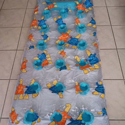 Collectible Phoebus & Athena 2004 beach mattress like new