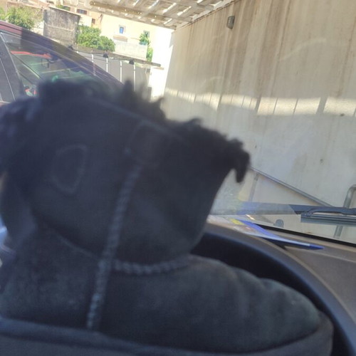 Ugg Australia kids boots size 26 used, black
