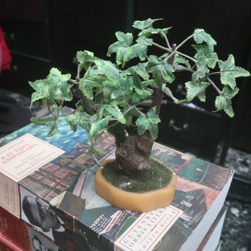 Decorative bonsai like new