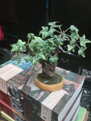 Decorative bonsai like new