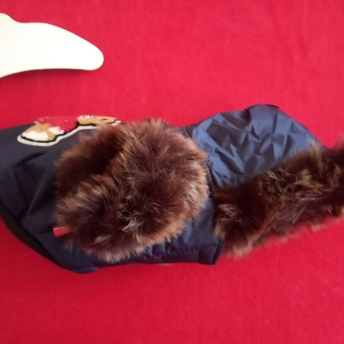 Doggy Dolly XS dog jacket new