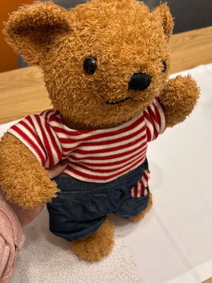 Teddy bear plush like new with clothes 25 centimeters
