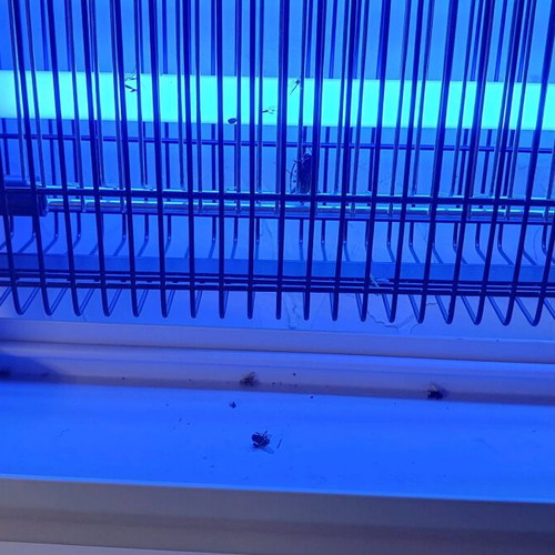 Primo electric insect killer new 23.7 Watt with two lamps
