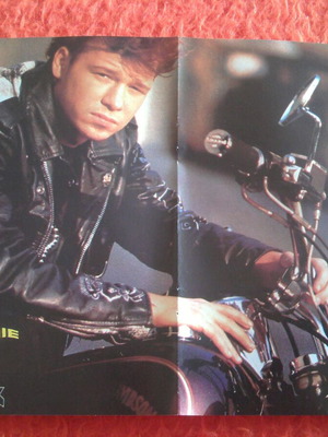 New Kids On The Block & INXS poster like new