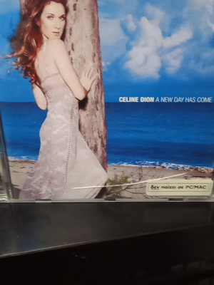 Celine Dion A New Day Has Come CD употребяван