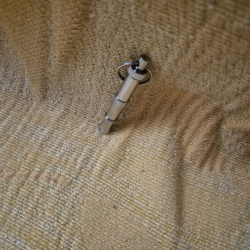 Dog whistle for calling new