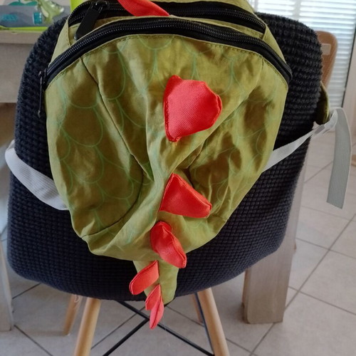 Insulated lunch bag and small backpack like new