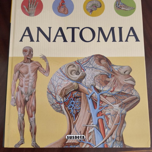 Anatomy book like new, atlas with over 600 color images