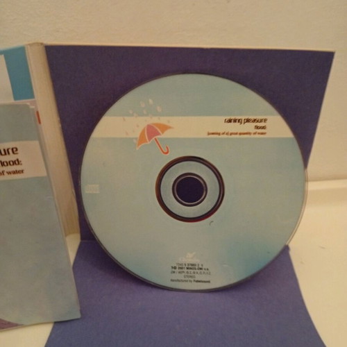 Raining Pleasure Flood CD used, rock