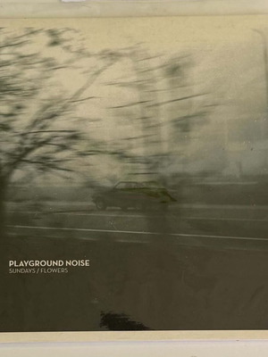 Playground Noise Sundays / Flowers 7" vinyl like new, metal