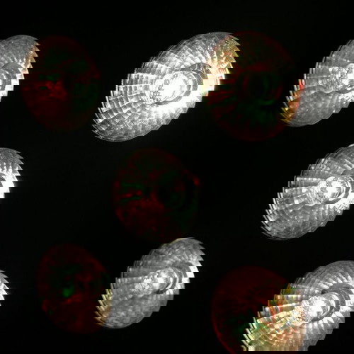 Προβολείς LED Stairville Quad Par Profile 5x8W RGBW σαν καινούργιοι σετ 6 τεμαχίων