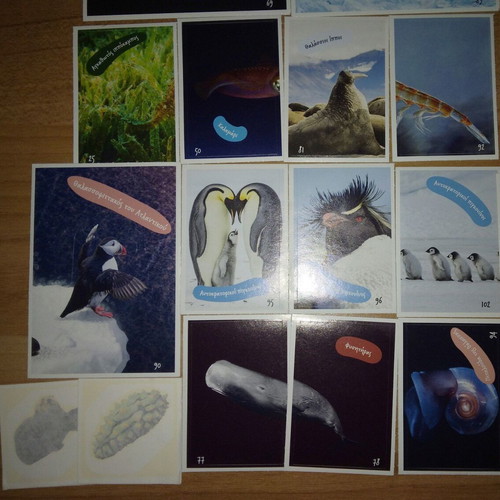 AB Vasilopoulos Exploring the Ocean sticker set with 39 stickers and 2 tattoos