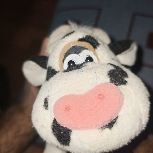 Cow pencil case used for school