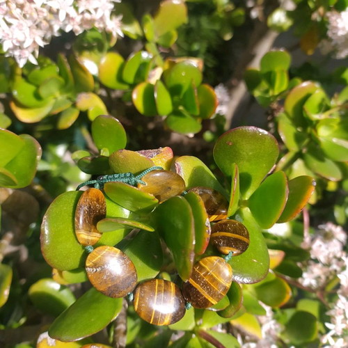 Tiger Eye Bracelet used, handmade