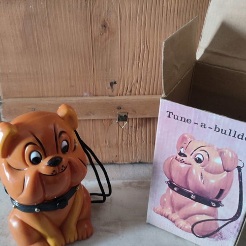 Dog radio new, stylish