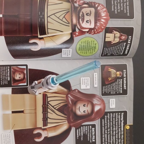 Lego Star Wars Character Encyclopedia used, 300 minifigures