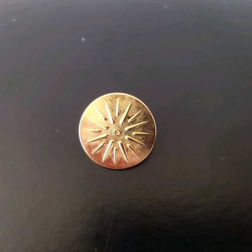 Collectible Pin 16-Ray Vergina Star like new