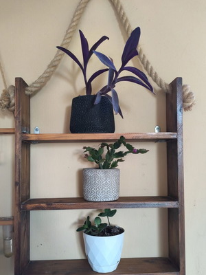 Vintage Retro Outdoor Shelf used for Plant Decoration