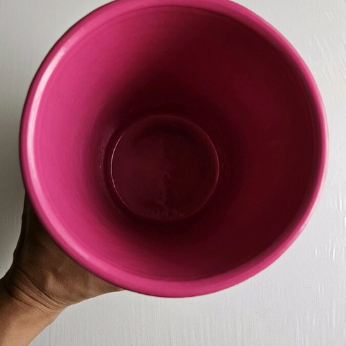 Fuchsia flower pot like new