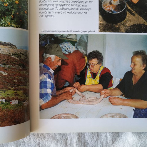 Andros Tourist Guide book like new, 93 pages, color